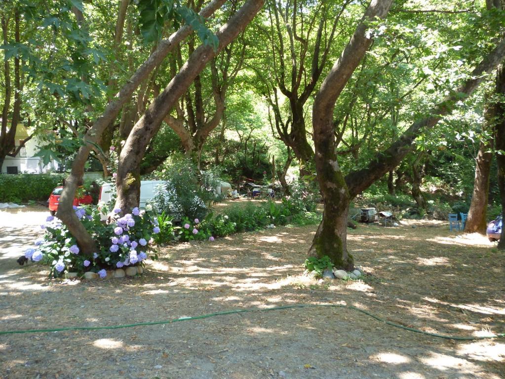 Galini Samothraki Hotel Thérma Kültér fotó
