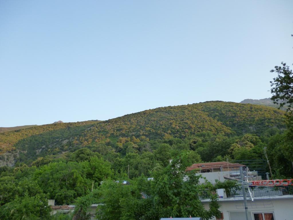 Galini Samothraki Hotel Thérma Kültér fotó