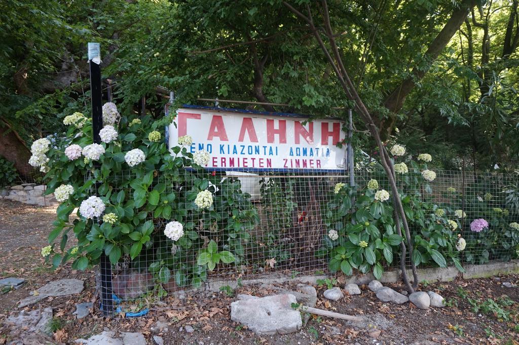 Galini Samothraki Hotel Thérma Kültér fotó